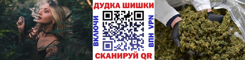 Купить где  Белая Холуница  Каннабис OG Kush 
